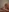 porno
