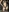 Estellekokine's photo