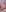 IRIS NAKED (PACK FOR 15 PHOTOS)