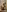Nude selfie