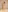 2024 photoset