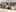 allybluee777's photo