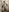 genderfluidco2's photo