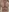 HarperBBW's photo