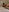 hentai4you's photo