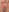 Fantasie-Hot-Sarah's photo