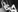 Talori's photo