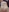 upskirt-101's photo