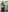 SamaraCortez's photo