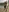 RosaDaff's photo