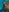 lilac_night33's photo
