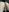 RelykaMeow's photo