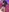 HairyEbonyCoupleliveporn's photo