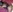 HairyEbonyCoupleliveporn's photo