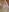 JooniperJacobson's photo