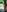 RoxyRedXO12's photo