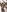 EXPLICIT PHOTO SET