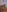 3littles's photo