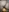 Kitty4_Reed's photo