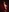 TheHarem's photo