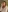 Amber_Foks's photo