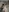 MiaWillis_'s photo