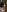 Couple-Kiwii-Orchidee-Boy's photo