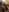 BluEyeGemini333's photo
