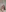 titty-cat's photo