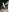 420getsmehorny's photo