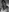 I'm in black and white lens