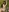 UrLittleVikky's photo