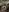 aoi2011's photo