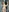CurlyLara's photo