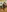 2223joker's photo