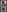 Black-hot-girl's photo
