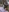 Shirley38's photo
