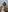 EmilyLuv's photo