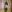 _EbonyGoddess's photo