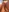 Naked🔥Huge dildo😱