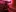 Dolcezza's photo