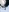 limoncito_blossom's photo