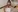 XXX Pics Compilation for Fan Club