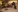mystic_carito's photo