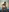 Alexdevil92's photo