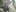 more naked photos / mas fotos desnudo