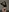Alika_Beda's photo
