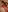 CassieLynn_'s photo
