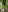 NikaRocks's photo