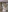 WTH_Baby's photo